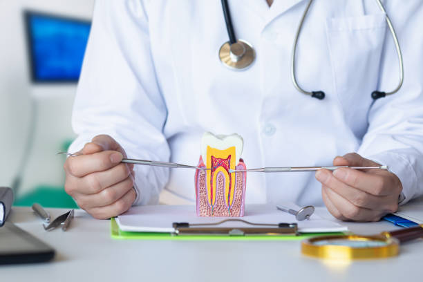Best Emergency Dental Care for Abscessed Tooth in Rushvle, IL
